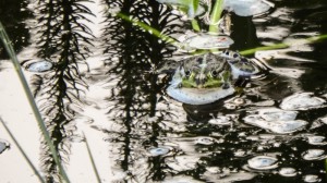 DSCF0722
